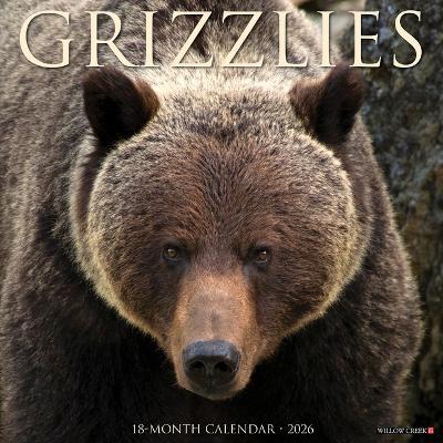 Grizzlies 2026 12 X 12 Wall Calendar - Willow Creek Press - cover