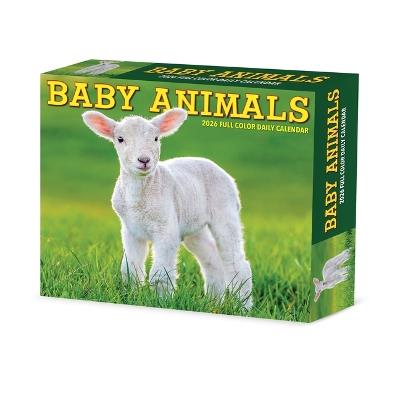 Baby Animals 2026 5.4 X 6.2 Box Calendar - Willow Creek Press - cover