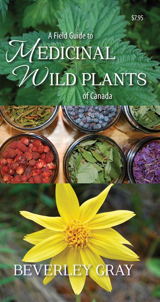 A Field Guide to Medicinal Wild Plants of Canada