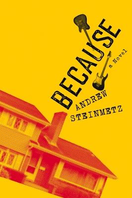 Because: A Novel - Andrew Steinmetz - cover