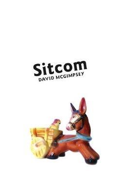 Sitcom - David McGimpsey - cover