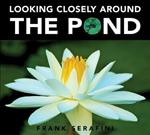 Looking Closely Around the Pond