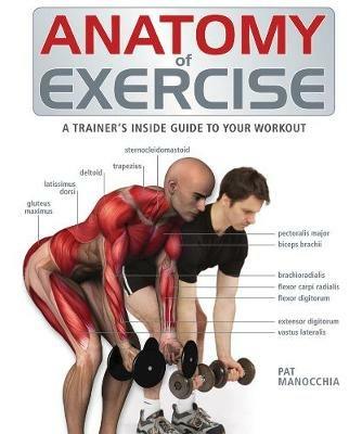 Anatomy of Exercise: A Trainer's Inside Guide to Your Workout - Pat Manocchia - cover