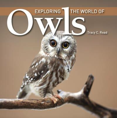 Exploring the World of Owls - Tracy C. Read - cover