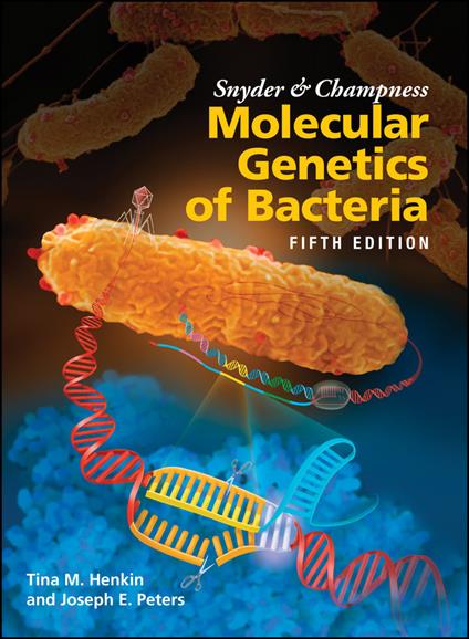 Snyder and Champness Molecular Genetics of Bacteria - Tina M. Henkin,Joseph E. Peters - cover