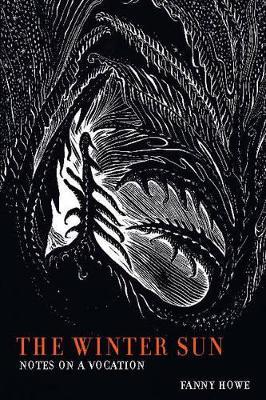 The Winter Sun: Notes on a Vacation - Fanny Howe - cover