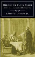 Hidden in Plain Sight - Robert P Debelak Jr - cover