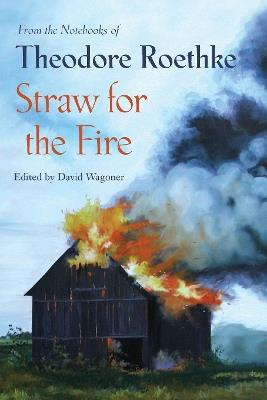 Straw for the Fire: From the Notebooks of Theodore Roethke - Theodore Roethke - cover