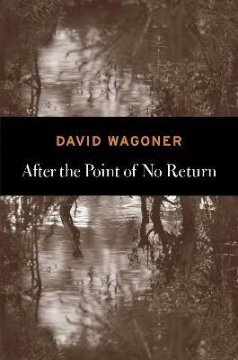After the Point of No Return - David Wagoner - cover