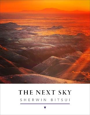 The Next Sky - Sherwin Bitsui - cover
