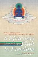 A Spacious Path to Freedom: Practical Instructions on the Union of Mahamudra and Atiyoga - Karma Chagme - cover