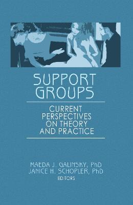 Support Groups: Current Perspectives on Theory and Practice - Janice H Schopler,Maeda J Galinsky - cover