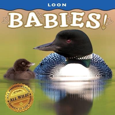 Loon Babies! - cover
