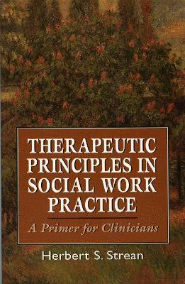Therapeutic Principles in Social Work Practice: A Primer for Clinicians - Herbert S. Strean - cover