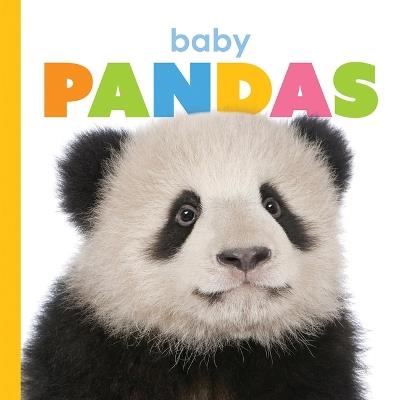 Baby Pandas - Kate Riggs - cover