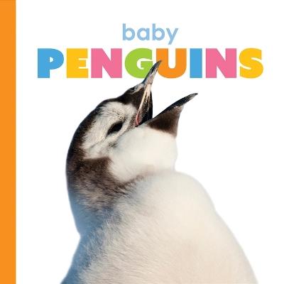 Baby Penguins - Kate Riggs - cover