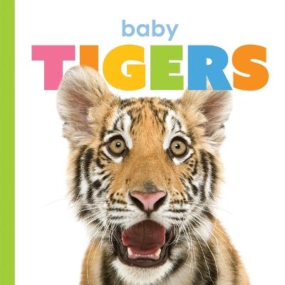 Baby Tigers - Kate Riggs - cover