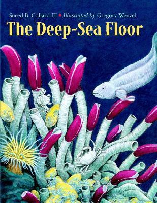The Deep-Sea Floor - Sneed B. Collard - cover