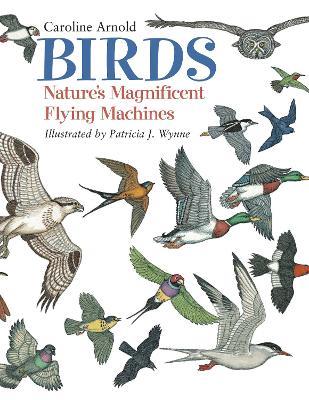 Birds: Nature's Magnificent Flying Machines - Caroline Arnold - cover