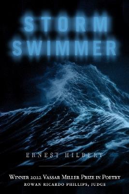 Storm Swimmer - Ernest Hilbert - cover