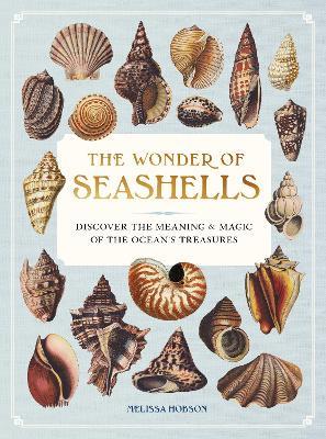 The Wonder of Seashells: Discover the Meaning and Magic of the Ocean’s Treasures - Melissa Hobson - cover