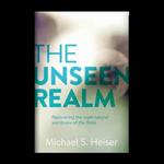 The Unseen Realm