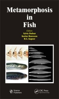 Metamorphosis in Fish - cover