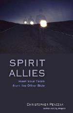 Spirit Allies: Meet Your Team from the Other Side