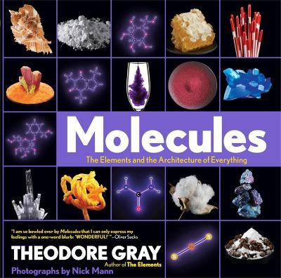 Molecules: The Elements and the Architecture of Everything - Nick Mann,Theodore Gray - cover