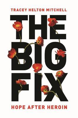 The Big Fix: Hope After Heroin - Tracey Mitchell - cover