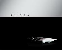 Alinea - Grant Achatz,Grant Achatz - cover