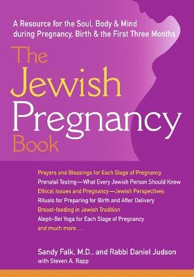 Jewish Pregnancy Book: A Resource for the Soul Body & Mind During Pregnancy Birth & the First Three Months - Steven Rapp,Sandy Falk,Daniel Judson - cover