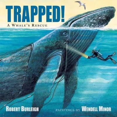 Trapped!: A Whale's Rescue - Robert Burleigh,Wendell Minor - cover