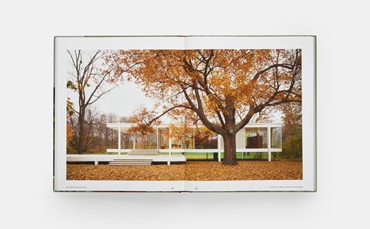 The Edith Farnsworth house - Michelangelo Sabatino - 4
