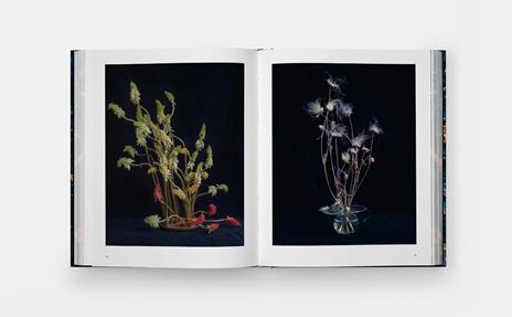 Emily Thompson flowers - Emily Thompson - 3