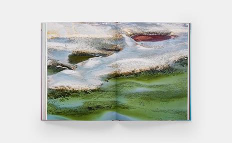 Diane Tuft. Entropy - 5