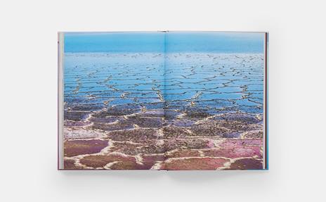 Diane Tuft. Entropy - 6