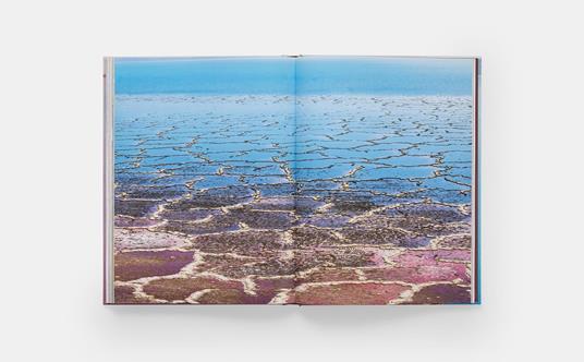 Diane Tuft. Entropy - 6