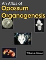 An Atlas of Opossum Organogenesis: Opossum Development