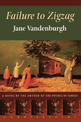 Failure To Zigzag: A Novel - Jane Vandenburgh - cover