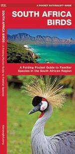 South Africa Birds: A Folding Pocket Guide to Familiar Species