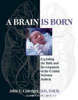 A Brain Is Born: Exploring the Birth and Development of the Central Nervous System - John E. Upledger - cover