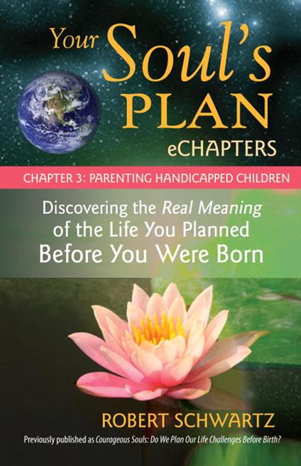 Your Soul's Plan eChapters - Chapter 3: Parenting Handicapped Children