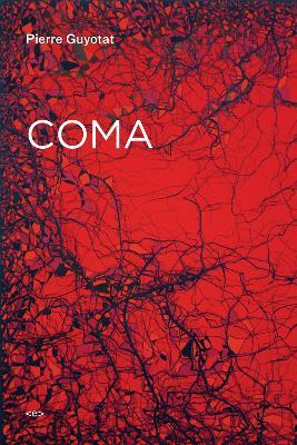 Coma - Pierre Guyotat - cover