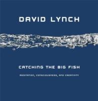Catching the Big Fish: Meditation, Consciousness and Creativity - David Lynch - cover