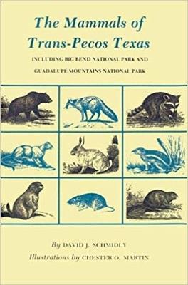 Mammals of Trans-Pecos Texas: Including Big Bend National Park and Guadalupe Mountains National Park - David J. Schmidly - cover