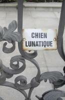 Chien Lunatique: Poems - Christopher Bernard - cover