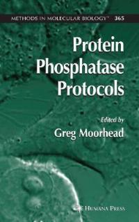Protein Phosphatase Protocols - cover