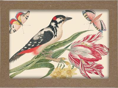 Smithsonian Birds and Flowers Notecard Set: 8 Blank Notecards of 4 Designs & Envelopes - Smithsonian Institution - cover