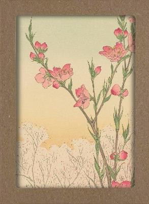 Smithsonian Cherry Blossom Notecard Set: 8 Blank Notecards of 4 Designs & Envelopes - Smithsonian Institution - cover